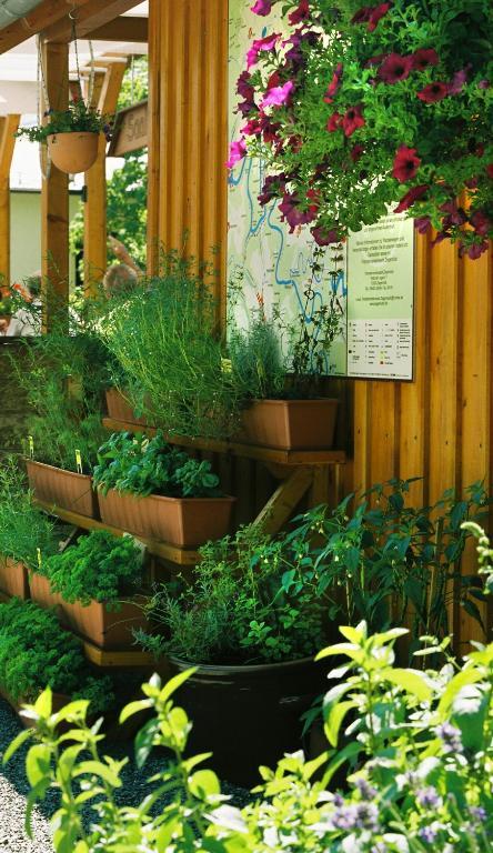 Hotel Zur Fernmuehle Ziegenrück Esterno foto